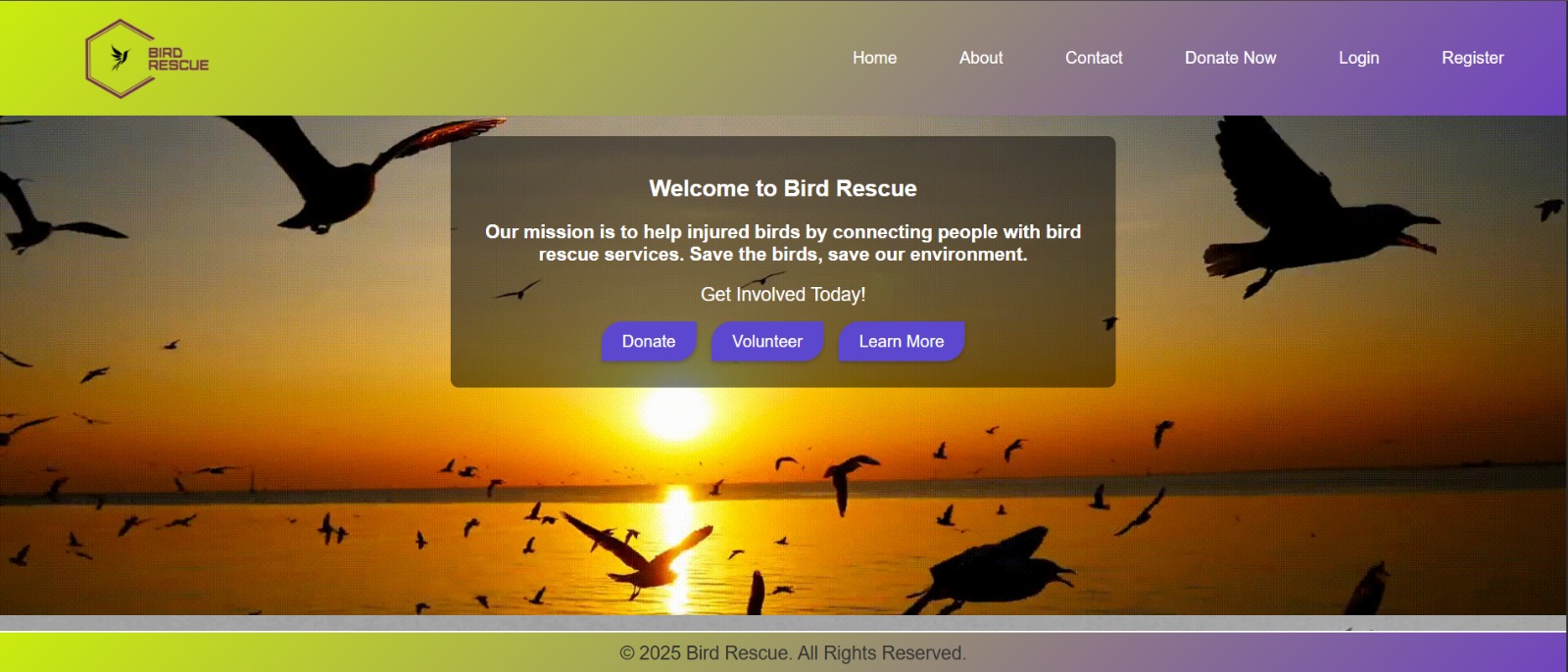 Birds-Rescue